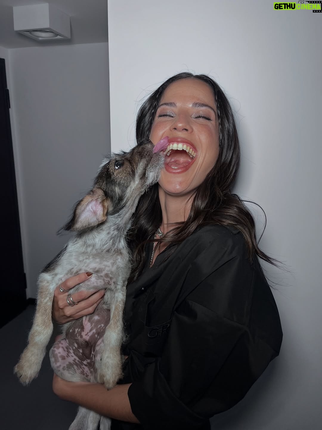 Candelaria Molfese - 51.7K Likes - Y nuevamente me animé a sumar otro 🐶 a mi hogar ❤️ Romeo ya llegó a casa hace 2 semanas y ya tiene mi corazón entero, que lindo es volver a adoptar debo decir que dude mucho por miedo a que Almen sufra pero definitivamente si bien a veces por ser cachorro y pesado quiere huir, ahora ella pasa horas jugando con él y tiene un compañero cuando salgo! Se aman ❤️
Quiero agradecerle de corazón a @pichichosalrescate que confiaron en mí y en Joaco para que Rome sea parte de nuestro hogar, admiro mucho el labor que hacen y créanme que adoptar les va a cambiar la vida ! Es un gesto de amor inmenso y van a recibir más de lo que creen ! Hay muchos perritos en situación de calle es NECESARIO ❤️🐶 
Almen y Rome que bien suena ❤️