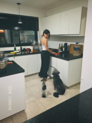 Candelaria Molfese Instagram - Y nuevamente me animé a sumar otro 🐶 a mi hogar ❤️ Romeo ya llegó a casa hace 2 semanas y ya tiene mi corazón entero, que lindo es volver a adoptar debo decir que dude mucho por miedo a que Almen sufra pero definitivamente si bien a veces por ser cachorro y pesado quiere huir, ahora ella pasa horas jugando con él y tiene un compañero cuando salgo! Se aman ❤️
Quiero agradecerle de corazón a @pichichosalrescate que confiaron en mí y en Joaco para que Rome sea parte de nuestro hogar, admiro mucho el labor que hacen y créanme que adoptar les va a cambiar la vida ! Es un gesto de amor inmenso y van a recibir más de lo que creen ! Hay muchos perritos en situación de calle es NECESARIO ❤️🐶 
Almen y Rome que bien suena ❤️