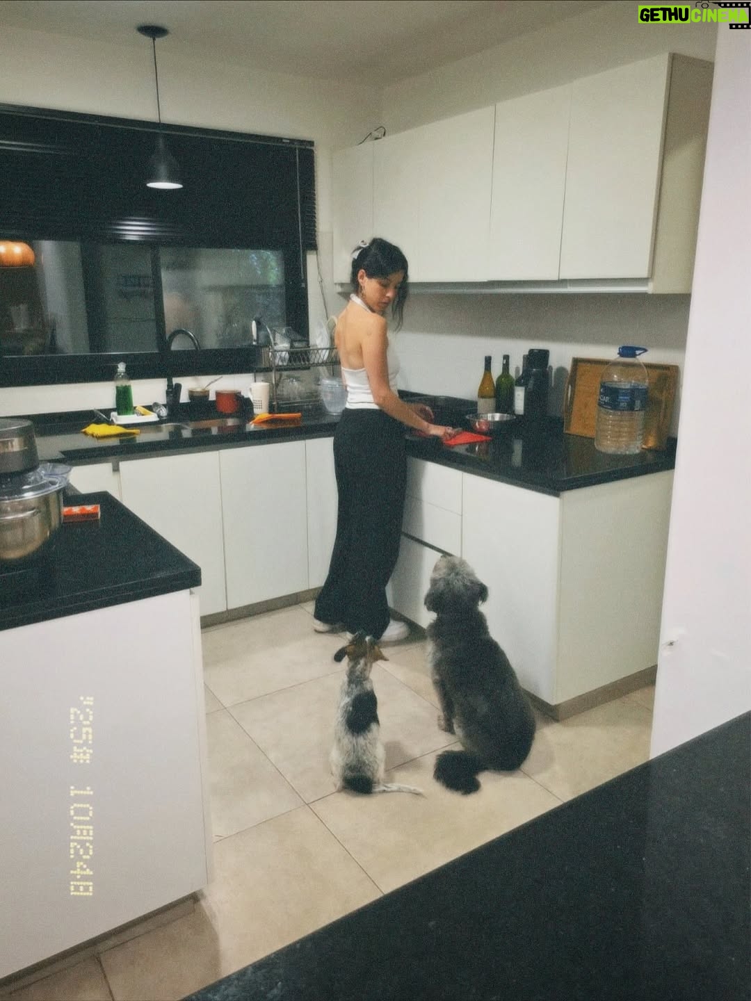 Candelaria Molfese - 51.7K Likes - Y nuevamente me animé a sumar otro 🐶 a mi hogar ❤️ Romeo ya llegó a casa hace 2 semanas y ya tiene mi corazón entero, que lindo es volver a adoptar debo decir que dude mucho por miedo a que Almen sufra pero definitivamente si bien a veces por ser cachorro y pesado quiere huir, ahora ella pasa horas jugando con él y tiene un compañero cuando salgo! Se aman ❤️
Quiero agradecerle de corazón a @pichichosalrescate que confiaron en mí y en Joaco para que Rome sea parte de nuestro hogar, admiro mucho el labor que hacen y créanme que adoptar les va a cambiar la vida ! Es un gesto de amor inmenso y van a recibir más de lo que creen ! Hay muchos perritos en situación de calle es NECESARIO ❤️🐶 
Almen y Rome que bien suena ❤️