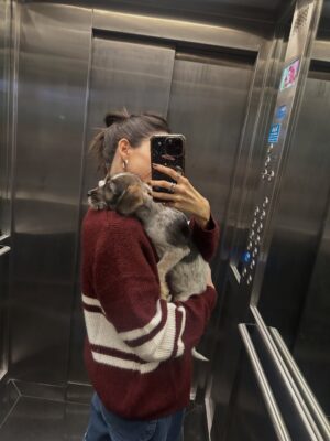 Candelaria Molfese Instagram - Y nuevamente me animé a sumar otro 🐶 a mi hogar ❤️ Romeo ya llegó a casa hace 2 semanas y ya tiene mi corazón entero, que lindo es volver a adoptar debo decir que dude mucho por miedo a que Almen sufra pero definitivamente si bien a veces por ser cachorro y pesado quiere huir, ahora ella pasa horas jugando con él y tiene un compañero cuando salgo! Se aman ❤️
Quiero agradecerle de corazón a @pichichosalrescate que confiaron en mí y en Joaco para que Rome sea parte de nuestro hogar, admiro mucho el labor que hacen y créanme que adoptar les va a cambiar la vida ! Es un gesto de amor inmenso y van a recibir más de lo que creen ! Hay muchos perritos en situación de calle es NECESARIO ❤️🐶 
Almen y Rome que bien suena ❤️