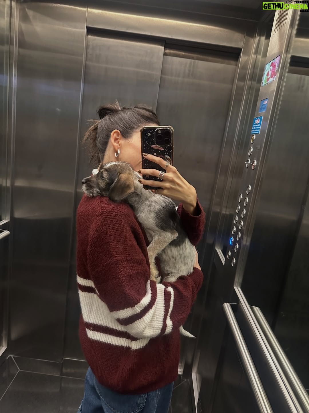 Candelaria Molfese - 51.7K Likes - Y nuevamente me animé a sumar otro 🐶 a mi hogar ❤️ Romeo ya llegó a casa hace 2 semanas y ya tiene mi corazón entero, que lindo es volver a adoptar debo decir que dude mucho por miedo a que Almen sufra pero definitivamente si bien a veces por ser cachorro y pesado quiere huir, ahora ella pasa horas jugando con él y tiene un compañero cuando salgo! Se aman ❤️
Quiero agradecerle de corazón a @pichichosalrescate que confiaron en mí y en Joaco para que Rome sea parte de nuestro hogar, admiro mucho el labor que hacen y créanme que adoptar les va a cambiar la vida ! Es un gesto de amor inmenso y van a recibir más de lo que creen ! Hay muchos perritos en situación de calle es NECESARIO ❤️🐶 
Almen y Rome que bien suena ❤️