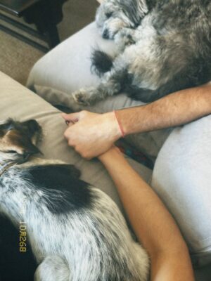 Candelaria Molfese Instagram - Y nuevamente me animé a sumar otro 🐶 a mi hogar ❤️ Romeo ya llegó a casa hace 2 semanas y ya tiene mi corazón entero, que lindo es volver a adoptar debo decir que dude mucho por miedo a que Almen sufra pero definitivamente si bien a veces por ser cachorro y pesado quiere huir, ahora ella pasa horas jugando con él y tiene un compañero cuando salgo! Se aman ❤️
Quiero agradecerle de corazón a @pichichosalrescate que confiaron en mí y en Joaco para que Rome sea parte de nuestro hogar, admiro mucho el labor que hacen y créanme que adoptar les va a cambiar la vida ! Es un gesto de amor inmenso y van a recibir más de lo que creen ! Hay muchos perritos en situación de calle es NECESARIO ❤️🐶 
Almen y Rome que bien suena ❤️