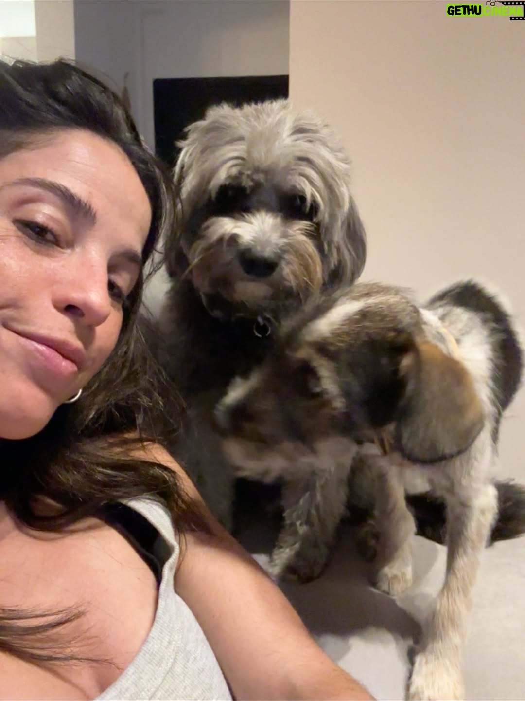 Candelaria Molfese - 51.7K Likes - Y nuevamente me animé a sumar otro 🐶 a mi hogar ❤️ Romeo ya llegó a casa hace 2 semanas y ya tiene mi corazón entero, que lindo es volver a adoptar debo decir que dude mucho por miedo a que Almen sufra pero definitivamente si bien a veces por ser cachorro y pesado quiere huir, ahora ella pasa horas jugando con él y tiene un compañero cuando salgo! Se aman ❤️
Quiero agradecerle de corazón a @pichichosalrescate que confiaron en mí y en Joaco para que Rome sea parte de nuestro hogar, admiro mucho el labor que hacen y créanme que adoptar les va a cambiar la vida ! Es un gesto de amor inmenso y van a recibir más de lo que creen ! Hay muchos perritos en situación de calle es NECESARIO ❤️🐶 
Almen y Rome que bien suena ❤️
