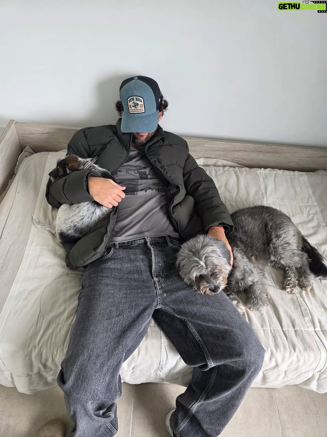 Candelaria Molfese - 51.7K Likes - Y nuevamente me animé a sumar otro 🐶 a mi hogar ❤️ Romeo ya llegó a casa hace 2 semanas y ya tiene mi corazón entero, que lindo es volver a adoptar debo decir que dude mucho por miedo a que Almen sufra pero definitivamente si bien a veces por ser cachorro y pesado quiere huir, ahora ella pasa horas jugando con él y tiene un compañero cuando salgo! Se aman ❤️
Quiero agradecerle de corazón a @pichichosalrescate que confiaron en mí y en Joaco para que Rome sea parte de nuestro hogar, admiro mucho el labor que hacen y créanme que adoptar les va a cambiar la vida ! Es un gesto de amor inmenso y van a recibir más de lo que creen ! Hay muchos perritos en situación de calle es NECESARIO ❤️🐶 
Almen y Rome que bien suena ❤️