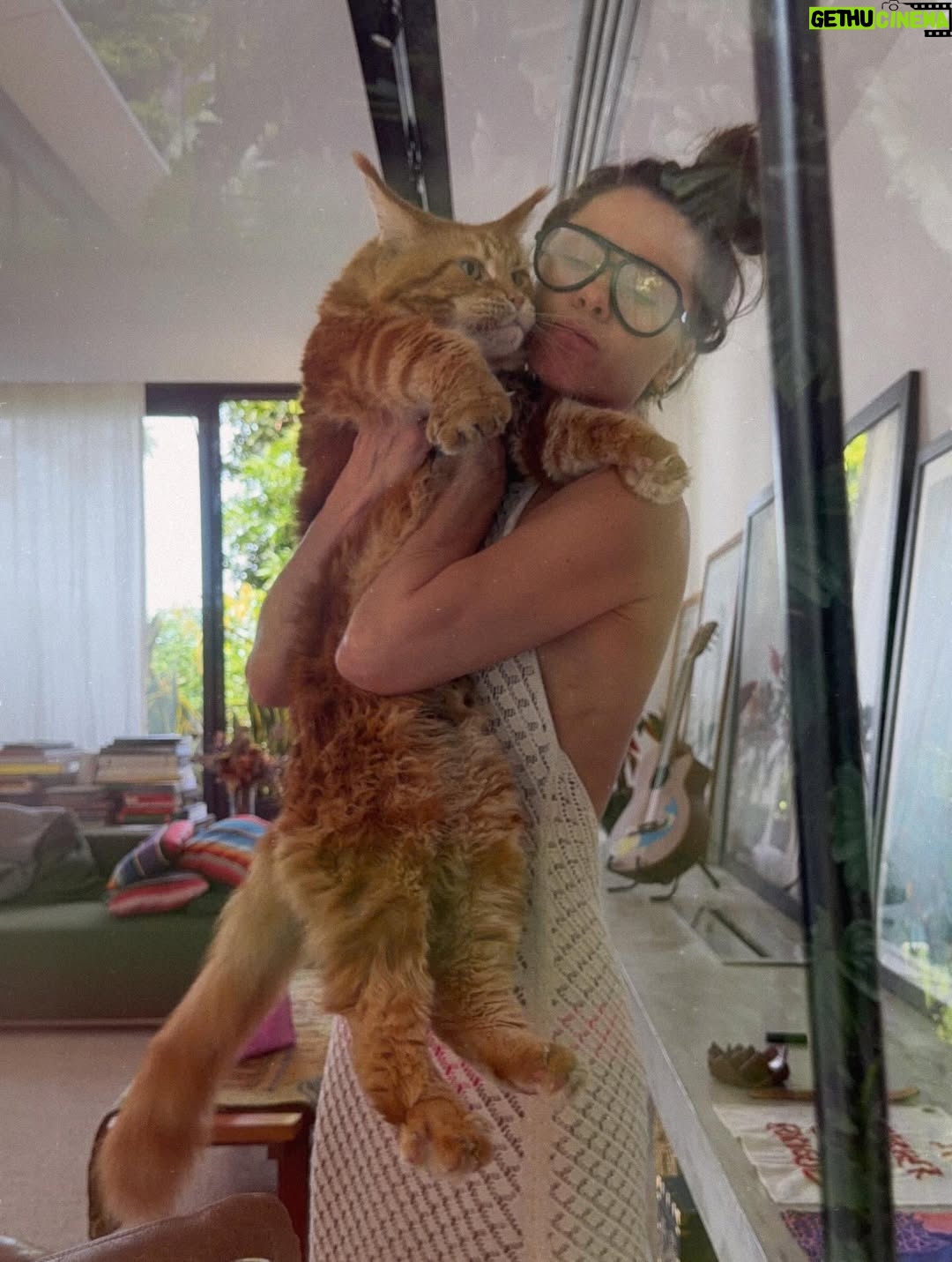 Carolina Dieckmann - 3 Likes - já agarrou seu pet hoje???
•
essas são
as ultimas 24horas
no meu celular
•
tem muita correria
mas tem pausa
•
e ainda sobra 
gratidão,
esforço
e afeto...