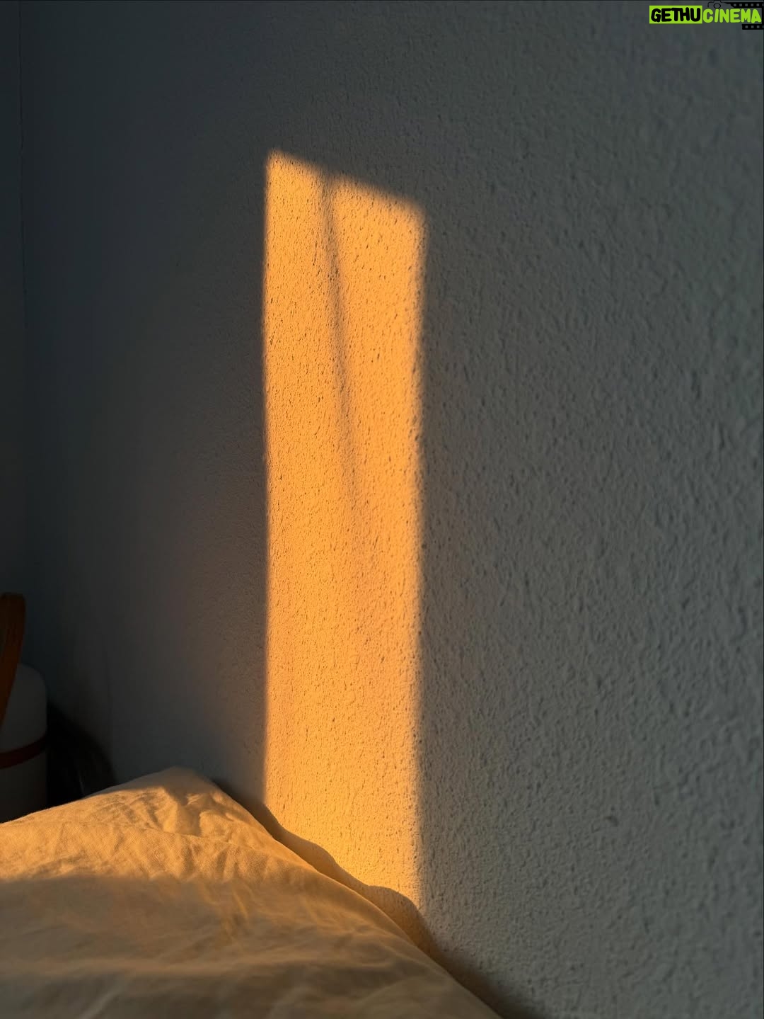 Carolina Yuste - 22.8K Likes - Refracciones 

o

La naturaleza participativa de la luz.