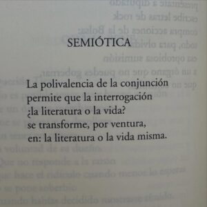 Carolina Yuste Instagram - Algunos de antes
de allí lejos atrás 
  otros
de ahora o después 

Palabra-arma o Palabra-consuelo
ahí
donde todo es brillo✨