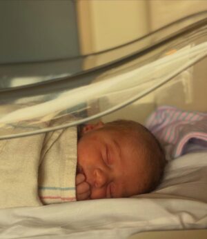 Caroline D'Amore Instagram - Welcome Olive D’Amore Levy to the world. 6lbs 8 ounces of pure heaven.