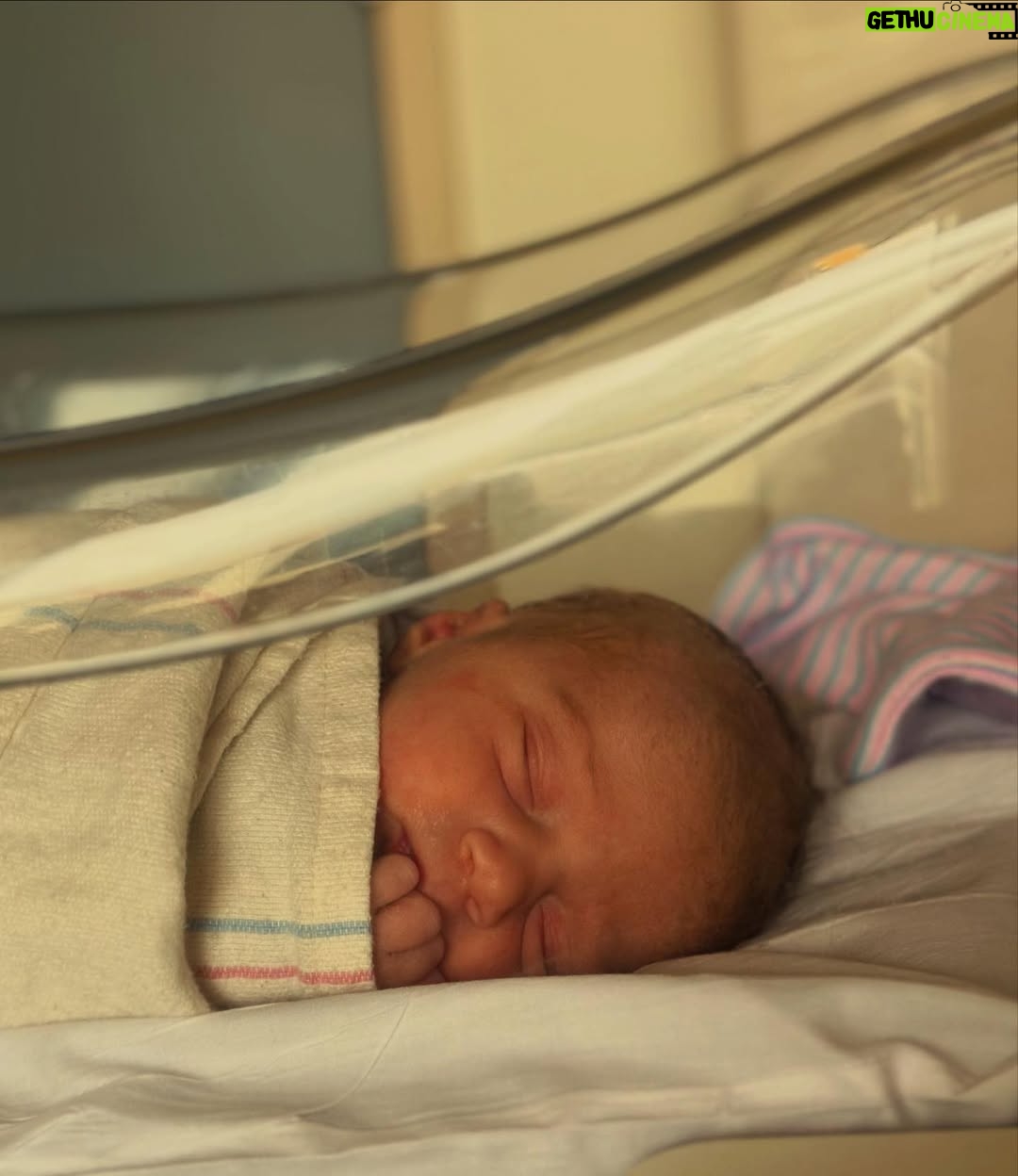 Caroline D'Amore - 15.9K Likes - Welcome Olive D’Amore Levy to the world. 6lbs 8 ounces of pure heaven.