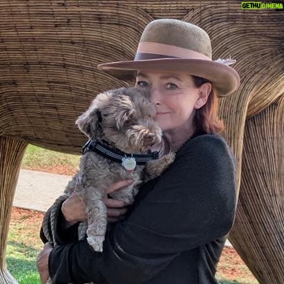 Carolyn Hennesy - 6K Likes - Hello kats and kittens! Many of you are wanting the real scoop behind the broken leg. It’s very simple… I just got tangled up with my dog, Bela Lugosi. No one‘s fault; he just had the Zoomies and instead of stepping on him I decided to launch myself mid air and came down wrong, to say the least. That’s all. 
Love to everyone!