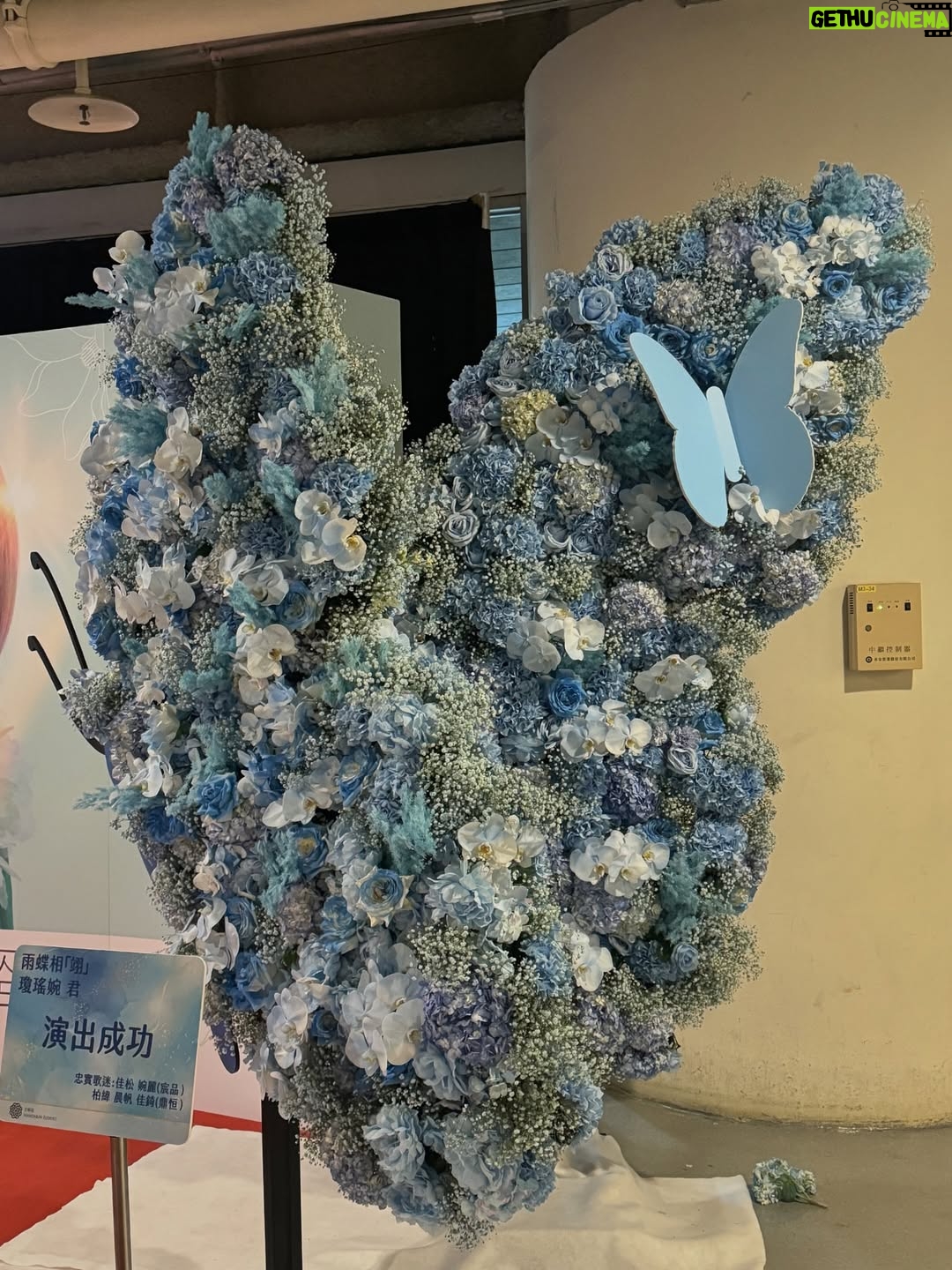 Chanel Wang - 4.3K Likes - 沒有人比我更懂那份感動 
大概6、7年前她曾經跟我說
「我很遺憾 我覺得我這輩子是唱不進小巨蛋了」
所以當小巨蛋這三個字出現在行事曆的時候
我比任何人都替她感到開心
自己口中曾經不可能的任務 她做到了
而且做得很好 做的超好 做的我覺得比誰都好
雖然沒有很華麗的舞台 很酷炫的特效
但一切正如我最喜歡的那種演唱會
就是一個實力派超能唱超會唱的歌手
不是因為她是我的誰我這樣說
是因為她真的太屌了！！！！！
從頭到尾開全麥 音準 情緒 起承轉合
都掌握得剛剛好 根本就是一個行走的CD
只不過這次換我有點遺憾因為
我一張照都沒跟他拍到🙂🙂
好啦 應該就是說一定還會有下次
所以下次要記得拍照餒👌