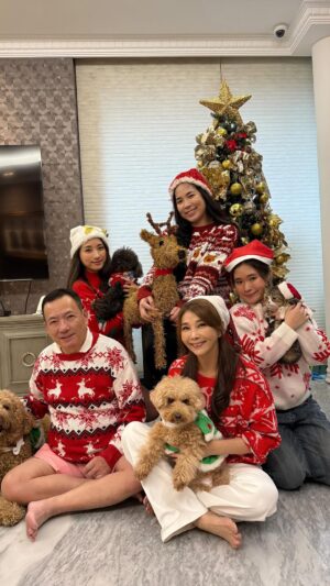 Chen Xiuhuan Instagram - Slay Bells ring~🎄🔔
Merry Christmas Eve! 🎄🎅❄️☃️♥️⭐️
#christmaseve
#christmas
#merrychristmas
#christmastree
#聖誕節快樂
chenxiuhuan
陈秀环