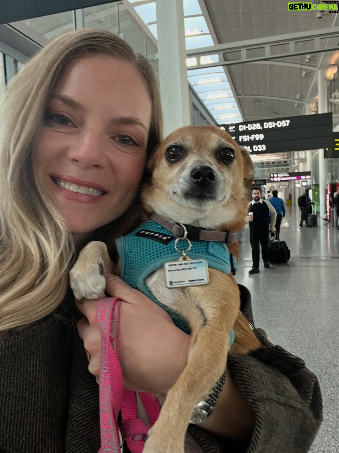 Cindy Busby - 4.2K Likes - November 2025 filled with so much to be grateful and hopeful for! 💫🙏💖