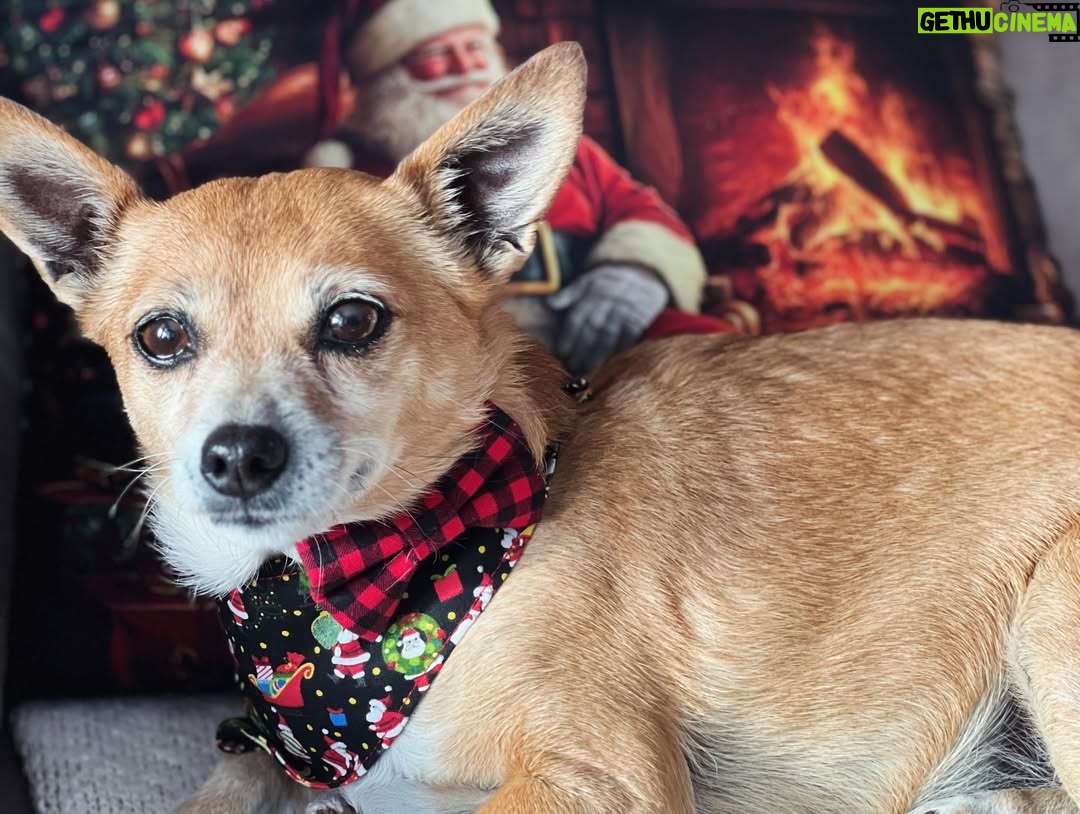 Cindy Busby - 5K Likes - Sending love 🎄
Xoxo