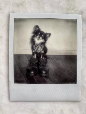Claire Chust Instagram - She-She rocks.