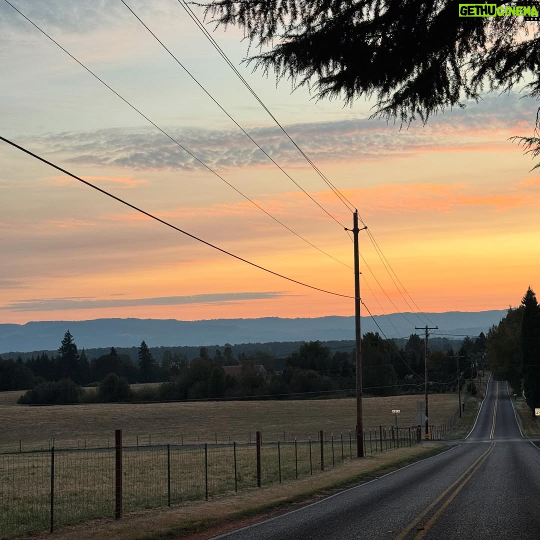 Cosondra Sjostrom - 0.9K Likes - The sun melts into the horizon and each long drive bends time, reminding us that reality reshapes with every breath. Every choice shifts the path, altering the entire direction and within the mist of cozy season may we step into worlds have already dreamed. 🤍💫