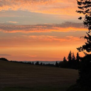 Cosondra Sjostrom Instagram - The sun melts into the horizon and each long drive bends time, reminding us that reality reshapes with every breath. Every choice shifts the path, altering the entire direction and within the mist of cozy season may we step into worlds have already dreamed. 🤍💫