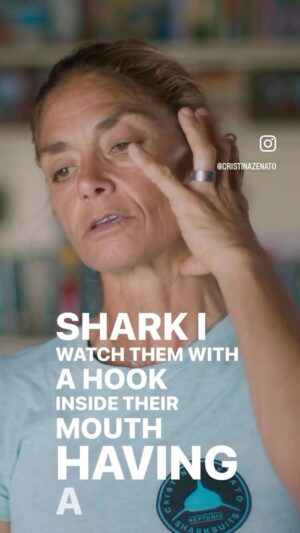Cristina Zenato Instagram - Anyone who argues about the ānatural processā about degrading of man introduced objects in an animalās body, needs a lesson in both biology and empathy. It is not about saving all the sharks in the world, it is to make a difference for those sharks I can help. Disputing an act of kindness with excuses such as, not always we can remove the hooks, sometimes the line breaks, the hook will rust, sharks donāt feel pain, is, in my opinion, a projection of guilt. My mission is to help the sharks I can, share their stories, plight and through their example and voices, create a better awareness of our need to understand, appreciate and protect them. As Enzo Maiorca once said āUntil humankind has learned to respect and dialogue with the animal world, we will never know our true role on this Earthā View the full story on āMy Best Friend is an Animalā episode 5. Thank you BigWaveTV and LoveNature. All underwater footage by @kewinlorenzen