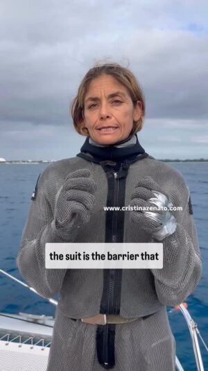 Cristina Zenato Instagram - The shark suit is perhaps the piece of gear I have used the longest, starting in 1994. I call it the barrier that drops the barrier between the sharks and us. I use it for interactive dives where I work closely with sharks and remove hooks and parasites. I want responsible interactions that provide a safety consideration for those involved, from the guests observing to the crew, and the sharks.
Being responsible doesnāt take away from the fact that sharks are misunderstood and maligned. We must understand the difference between going scuba diving with sharks and directly interacting with them and dealing with hooks and teeth.
Interesting fact: when I remove hooks the sharks never react in defense, they let me try, then when the pain is too much, they swim away and come back to allow to try again.
(Disclaimer: the suit doesnāt make up for lack of knowledge, experience and inconsiderate behavior on our part)
Find out more @neptunic_com Itās handmade on demand and comprised of stainless steel interlocked rings and weighs about 20lbs.
With @kewinlorenzen