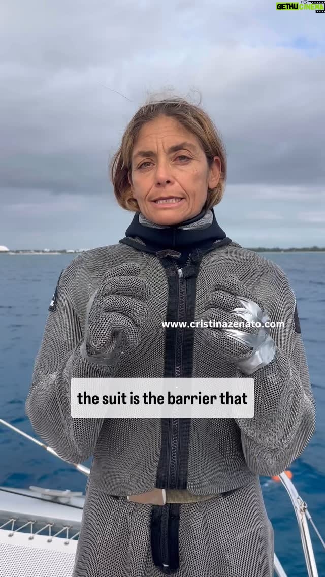 Most liked Instagram photo of Cristina Zenato