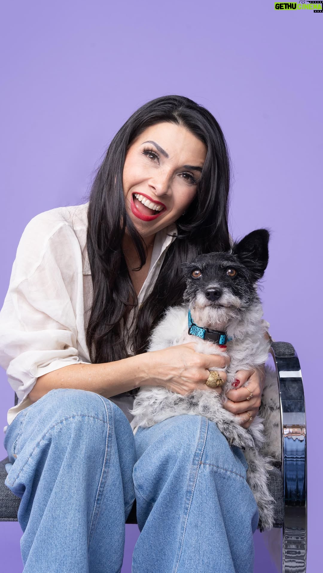 Dalilah Polanco - 22.5K Likes - Hoy, @polancodalilah nos prestó su voz para contar la historia de Dante en @historiassinraza 
Un perrito lleno de alegría, esperanza y una fuerza inmensa para luchar por su vida. 🐾💛

Dante tiene tres orejitas… sí, tres.
Su cuerpito es el reflejo de todo lo que ha vivido, pero también de todo lo que ha superado.
Hoy, después de tanto dolor, ese mismo corazón está listo para amar y ser amado en un verdadero hogar. 🏡✨

Si deseas adoptarlo y cambiarle la vida para siempre, comunícate al:
📞 5561918819 para requisitos de adopción @amorsinraza 

Gracias, @polancodalilah , por regalarnos tu voz para que Dante fuera escuchado. 🙏💜
Y gracias a todos los que ayudan compartiendo este proyecto.

Porque aún quedan miles de historias por contar.
Miles de perritos esperando una oportunidad.
¿Nos ayudas?
Comparte, comenta y etiqueta a quien te gustaría que nos preste su voz la próxima vez. 🎙️🐶

Juntos, hacemos que su historia se escuche más lejos. ✨
Y por favor sigue a @historiassinraza estoy segura hay un perrito que va a cautivarte con su historia y quién sabe , pueda ser parte de tu familia🙏COMPARTIR TAMBIÉN SALVA VIDAS