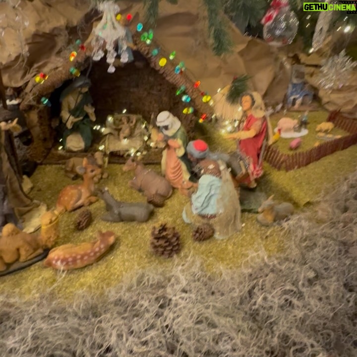 Dalisa Alegría - 9.9K Likes - Navidad es esto: familia, unión y gratitud.
Agradecer a quienes nos rodean y están con nosotros día a día.
Gracias Dios por otra oportunidad de vida en familia, todos juntos.
Amo a mi familia. No concibo la vida sin ninguno de ustedes 🤍
Mis padres, mis hermanos, mis sobrinos, mi hija y mi esposo.
Qué feliz la pasamos! ✨🎄¡Cuánta Alegría! P.D. @pedritoalegria hiciste falta. #union #familiaalegria #familyfirst #24dic