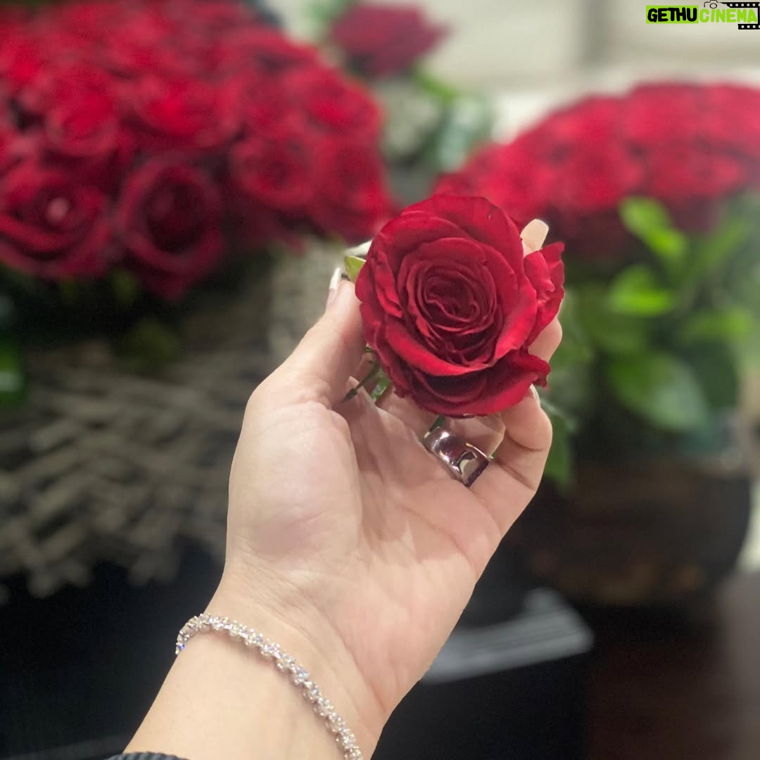 Dana Jabr - 24.2K Likes - 
