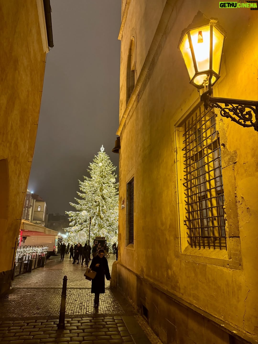 Dana Morávková - 2.3K Likes - 🎄💫 Staroměstské náměstí 😍