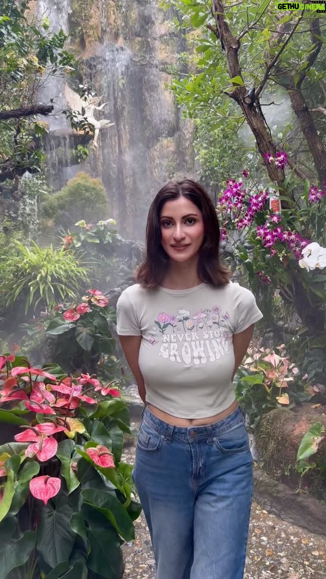 Deeksha Singh - 11.6K Likes - 🧚🏻🌿✨🧿🌍🦄🥱🎶😶‍🌫️😘💕🦋❤️☺️