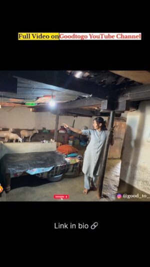 Deepika Gowda Instagram - Home tour Vlog š„°
#goodtogo #hometour #hometourvlog #deepika #viralvlog #kannadavlog #instareel #viralreelsā¤ļø