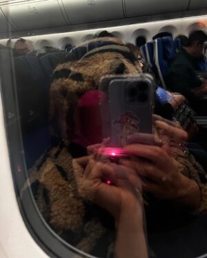 Delfina Chaves Instagram - Foto turista literal así 🥶