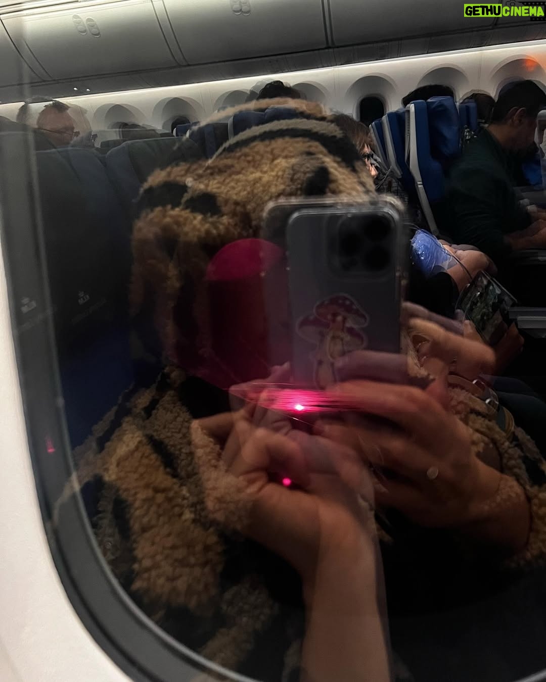 Delfina Chaves - 118.4K Likes - Foto turista literal así 🥶