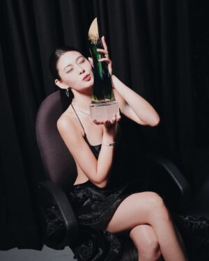 Denise Camillia Tan Instagram - The highlight of my night- Chow Yun Fat himself presenting me this award… I’m still not over it!🥹✨

WE DID IT! This is my second Top 10 award, and I’m so incredibly grateful to each and every one of you who voted so tirelessly for me. Thank you for your love, your unwavering support, and for believing in me through every step of this journey.♥️

A massive shoutout to my amazing @the_celebrityagency family! Doreen @authentic.living @jaeleaw @relaxkarenb Thank you for always having my back and for pushing me to grow in ways I never imagined possible.

And this year is extra special because my family came all the way here to witness this moment in person. Having them in the audience while I received this award made everything that much more meaningful. @anselm_tan @helenalim3 @nasharaina @joshuajanuarius 

To my @_deenamic , my ride or die team!!!You guys are the real MVPs. Your constant faith keeps me going, and this win is as much yours as it is mine. 

Thank you from the bottom of my heart!♥️

📸 : @helloitsjudith