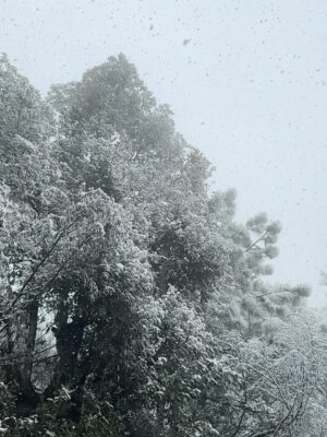 Deveshwari Negi Instagram - ā¤ļø
#snowfall #uttarakhand #mussoorie