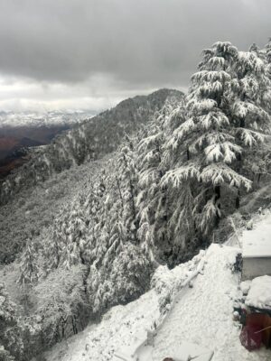 Deveshwari Negi Instagram - ā¤ļø
#snowfall #uttarakhand #mussoorie