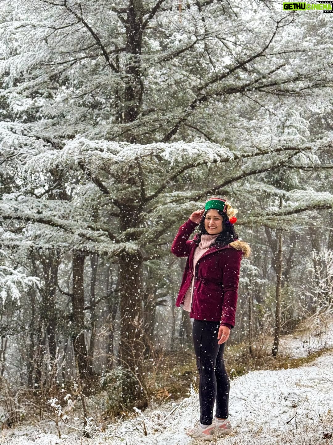 Deveshwari Negi - 1.8K Likes - ❤️

#snowfall #uttarakhand #mussoorie