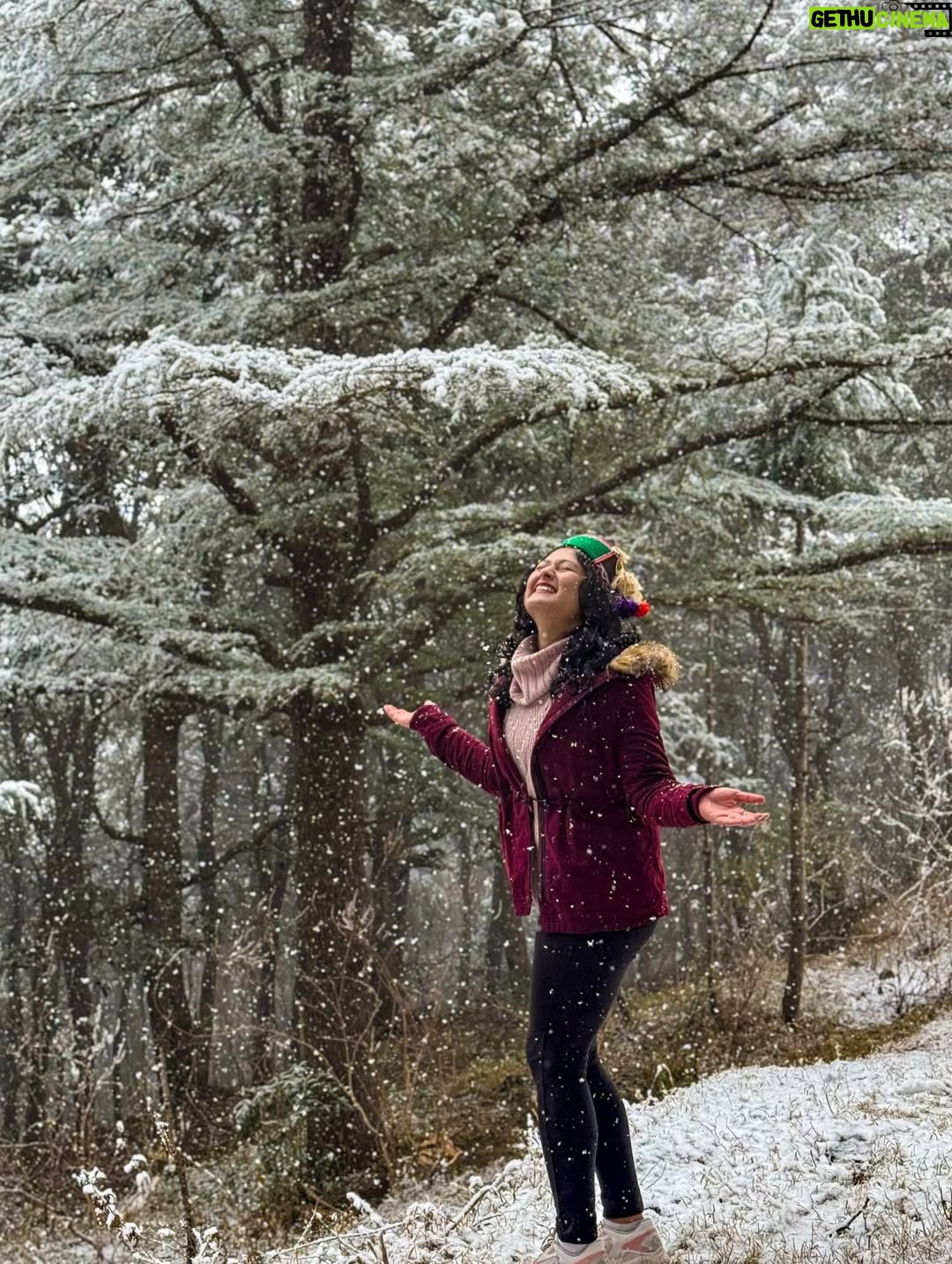 Deveshwari Negi - 1.8K Likes - ❤️

#snowfall #uttarakhand #mussoorie