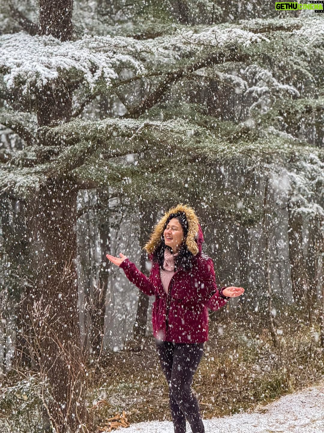 Deveshwari Negi - 1.8K Likes - ❤️

#snowfall #uttarakhand #mussoorie