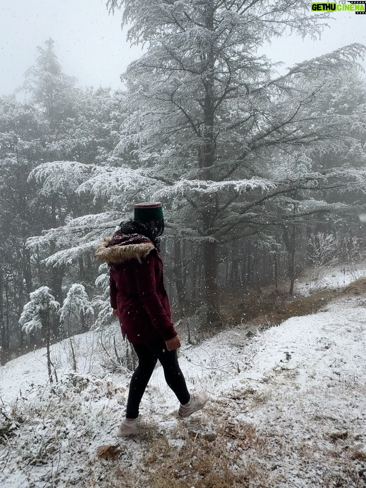 Deveshwari Negi - 1.8K Likes - ❤️

#snowfall #uttarakhand #mussoorie