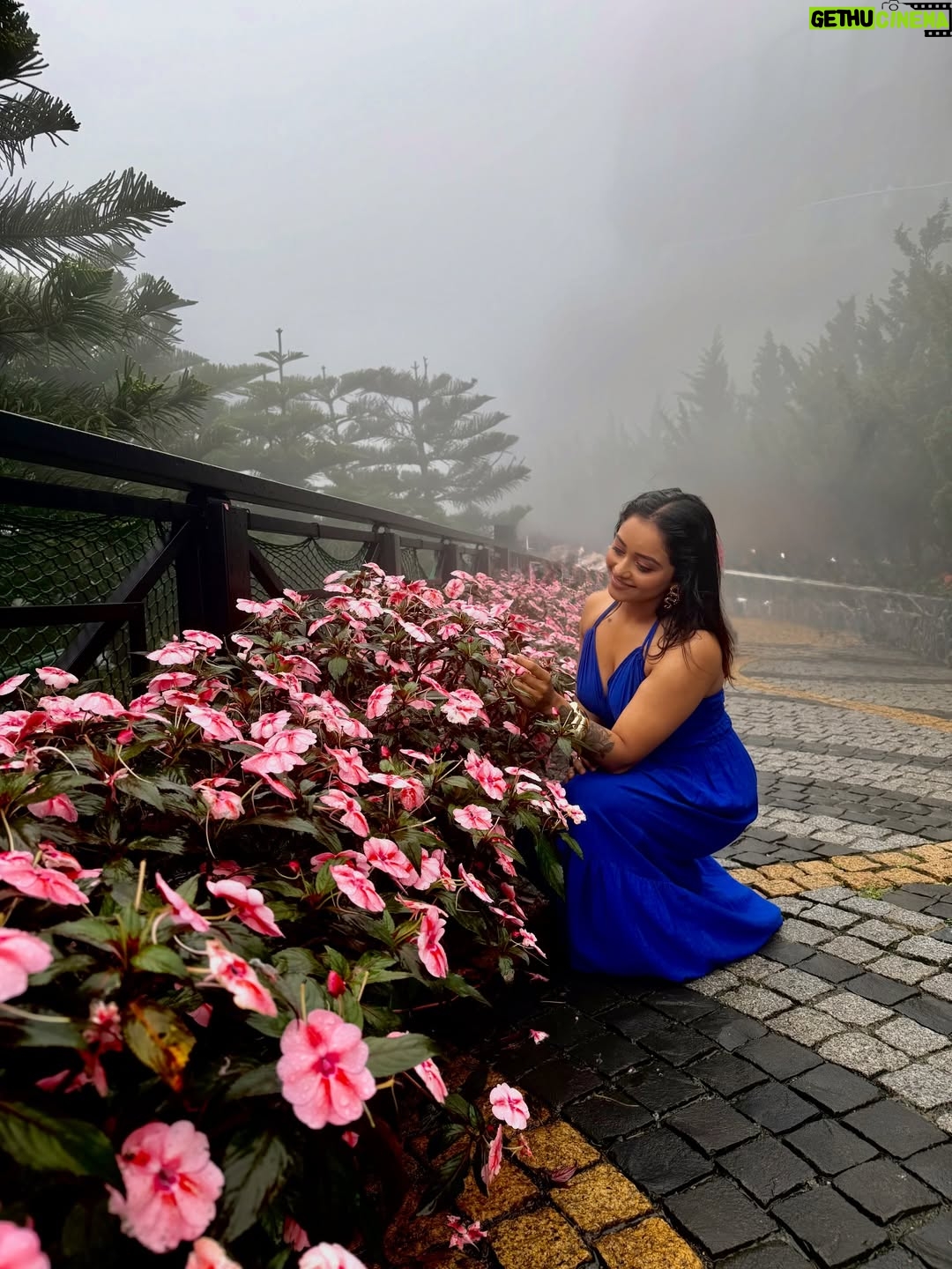 Dhanu shree - 16.6K Likes - My First international solo trip to Vietnam, Fear said no. I went anyway, cheers to the girl who finally crossed her first border. 💃  #vietnam  #hochiminhcity🇻🇳 #hanoi #danang #india