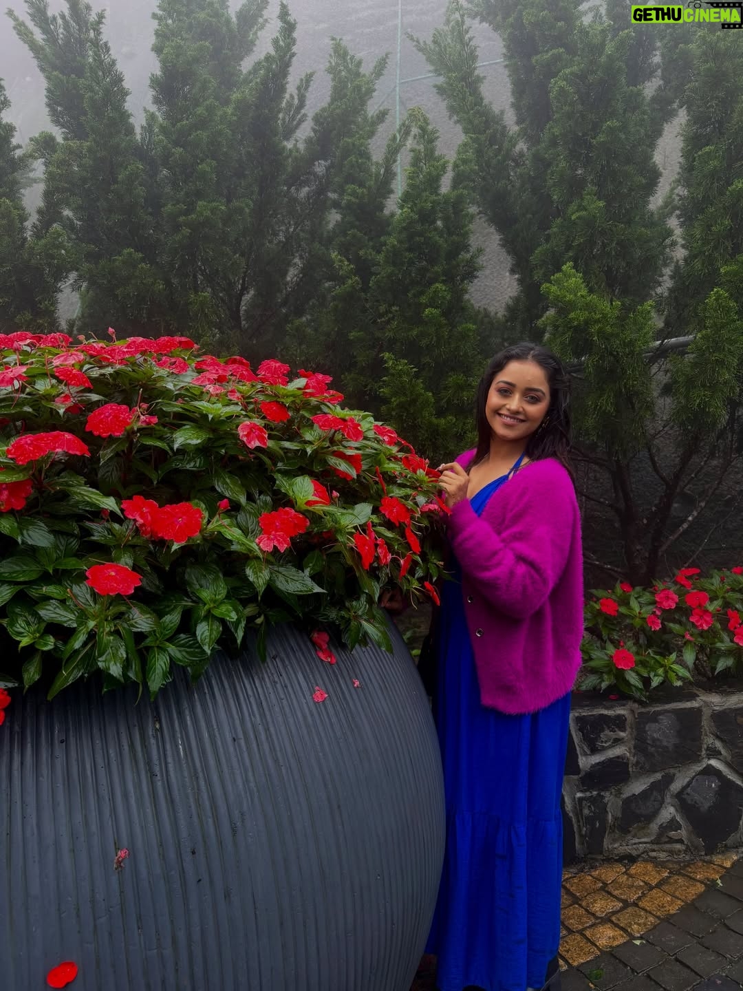 Dhanu shree - 16.6K Likes - My First international solo trip to Vietnam, Fear said no. I went anyway, cheers to the girl who finally crossed her first border. 💃  #vietnam  #hochiminhcity🇻🇳 #hanoi #danang #india
