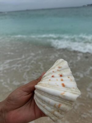 Disha Pandey Instagram - 🏖️