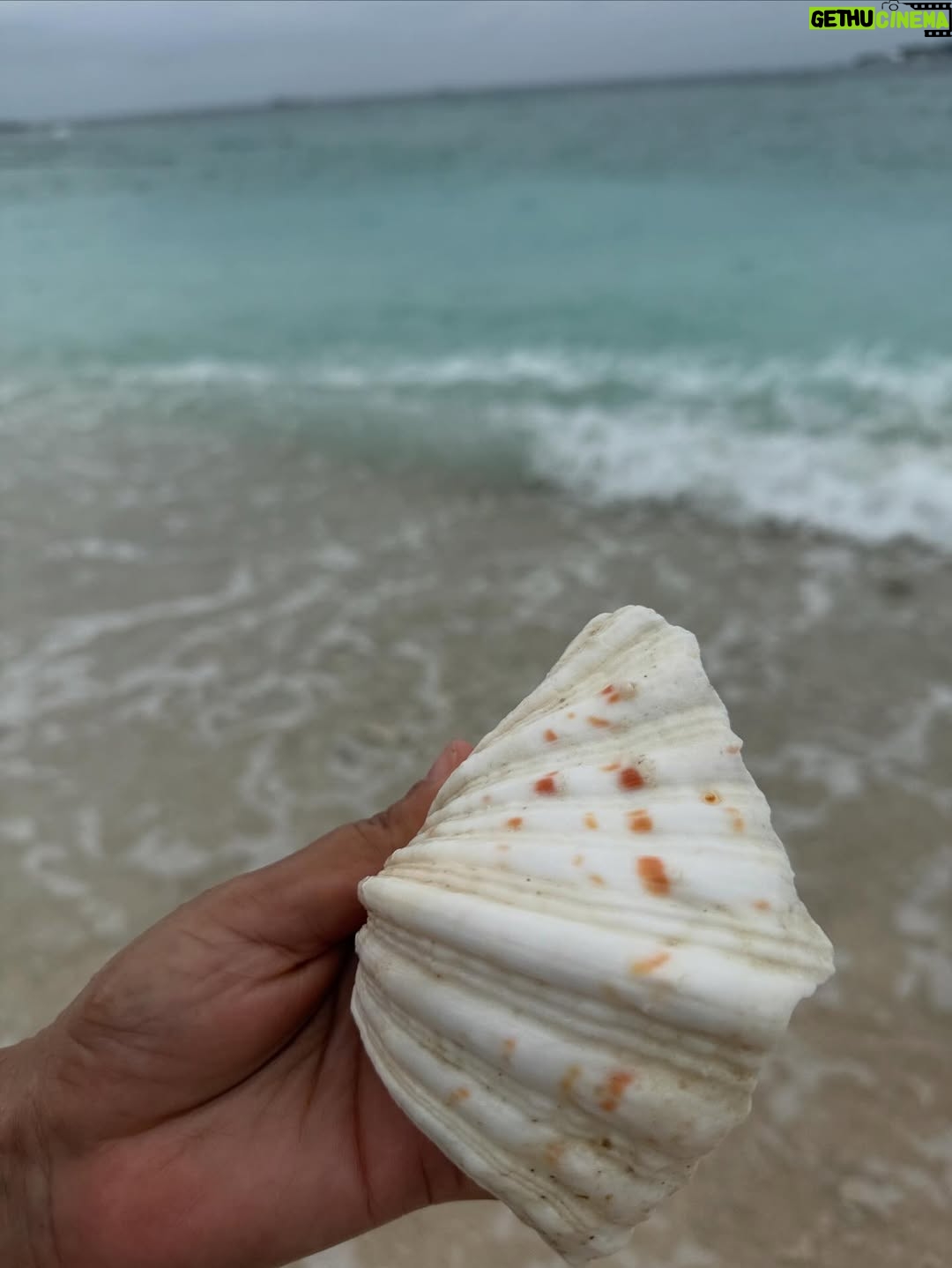 Disha Pandey - 1.3K Likes - 🏖️