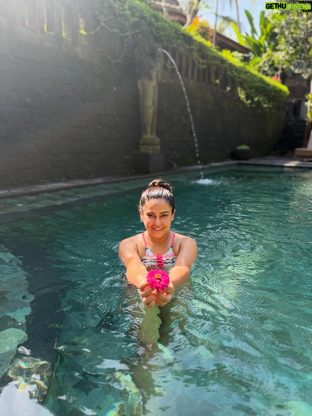 Disha Pandey - 3.4K Likes - 🦋🌸🦋