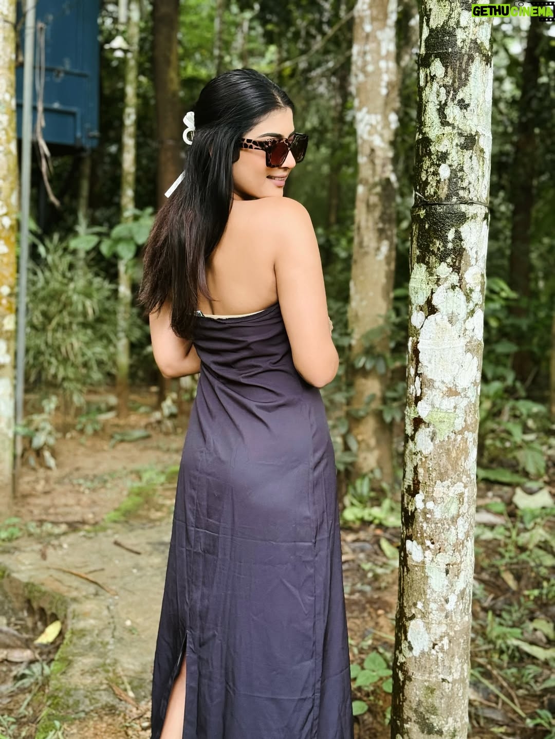 Divya Suresh - 11.3K Likes - Let the leaves fall where they may “

“Wayanad monsoon 🍃🚴🏻‍♀️☔️🦌☕️”

.

.#DS #divyasuresh #wayanad #nature #mylove #happy