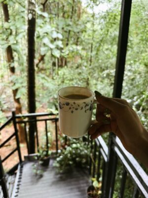 Divya Suresh Instagram - Let the leaves fall where they may “

“Wayanad monsoon 🍃🚴🏻‍♀️☔️🦌☕️”

.

.#DS #divyasuresh #wayanad #nature #mylove #happy