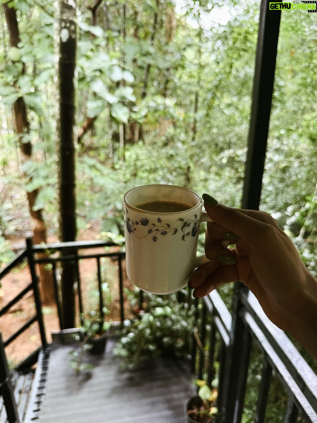 Divya Suresh - 11.3K Likes - Let the leaves fall where they may “

“Wayanad monsoon 🍃🚴🏻‍♀️☔️🦌☕️”

.

.#DS #divyasuresh #wayanad #nature #mylove #happy