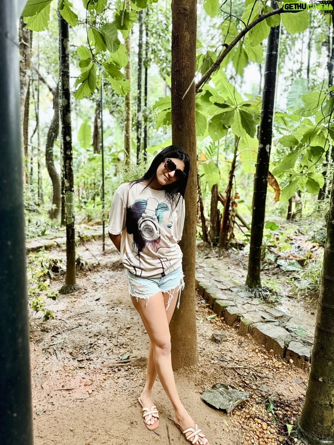 Divya Suresh - 11.3K Likes - Let the leaves fall where they may “

“Wayanad monsoon 🍃🚴🏻‍♀️☔️🦌☕️”

.

.#DS #divyasuresh #wayanad #nature #mylove #happy