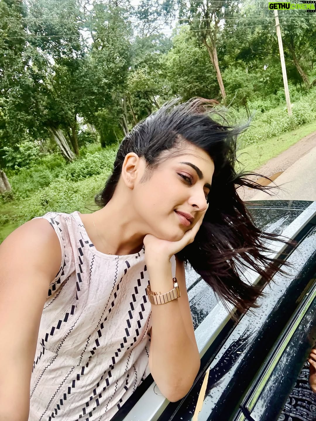 Divya Suresh - 11.3K Likes - Let the leaves fall where they may “

“Wayanad monsoon 🍃🚴🏻‍♀️☔️🦌☕️”

.

.#DS #divyasuresh #wayanad #nature #mylove #happy