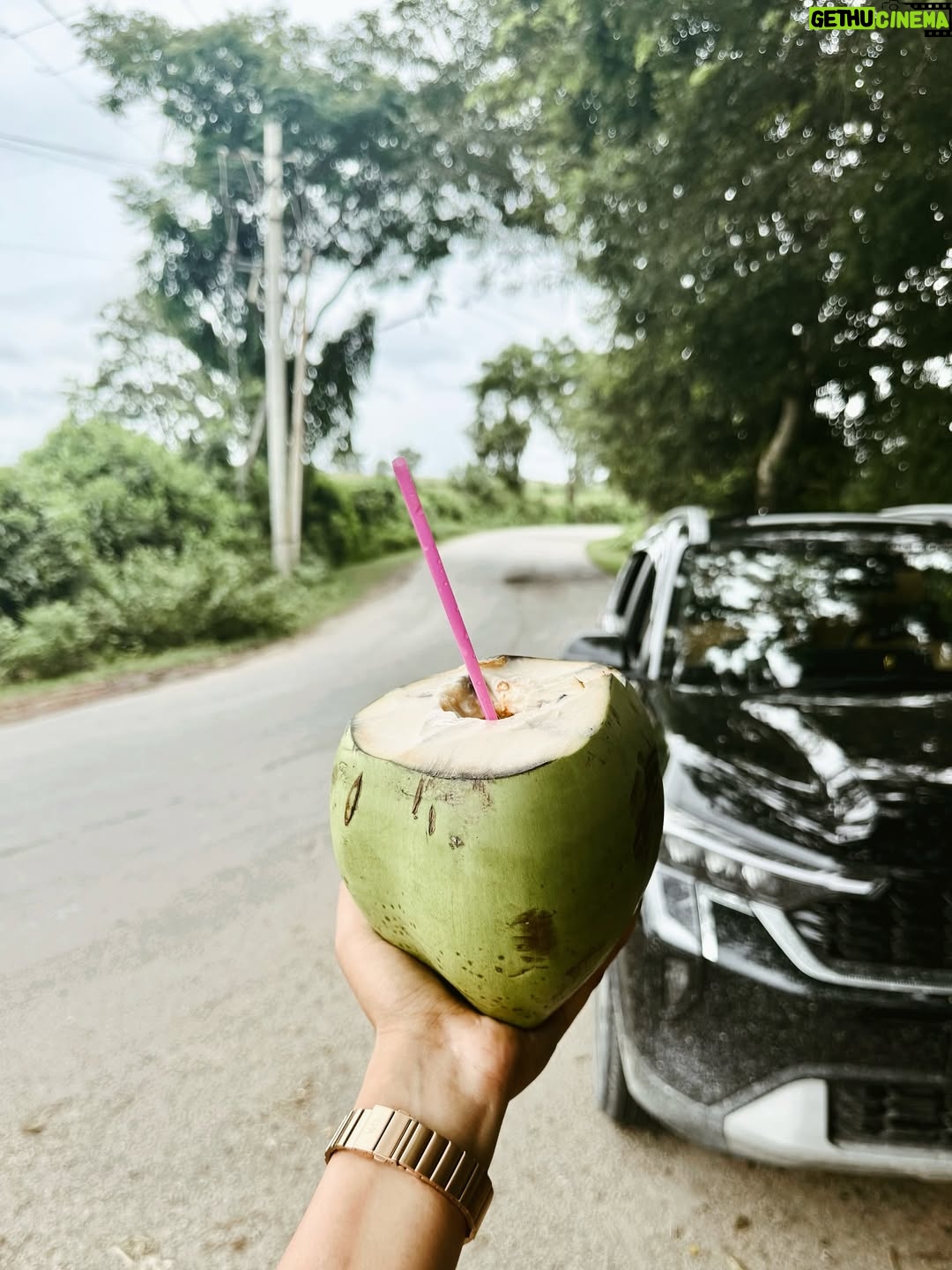 Divya Suresh - 11.3K Likes - Let the leaves fall where they may “

“Wayanad monsoon 🍃🚴🏻‍♀️☔️🦌☕️”

.

.#DS #divyasuresh #wayanad #nature #mylove #happy